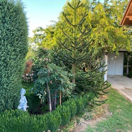 Apartma Jozica In Toncek Sveti Jurij ob Scavnici ภายนอก รูปภาพ