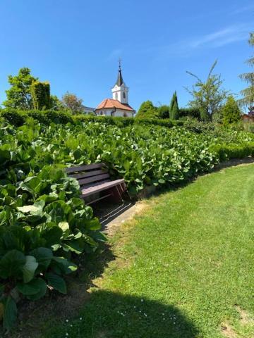 Apartma Jozica In Toncek Sveti Jurij ob Scavnici ภายนอก รูปภาพ