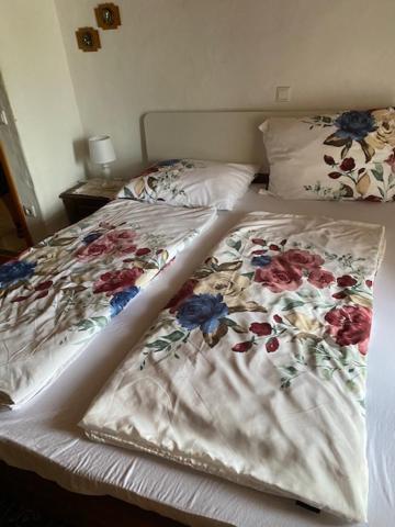 Apartma Jozica In Toncek Sveti Jurij ob Scavnici ภายนอก รูปภาพ